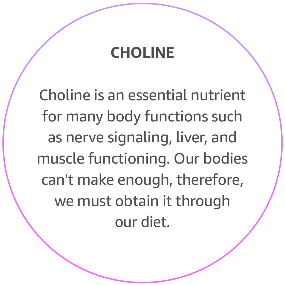 CHOLINE
Choline is an essential nutrient for many body functions such as nerve signalling, liver and muscle functioning. Our body can't make enough therefore we must obtain it from our diet.