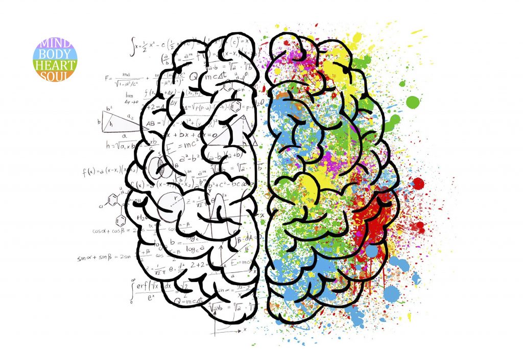 Healthy Cell, Healthy Body - 60% of our brain is made up of phospholipids